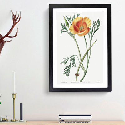 Orange California Poppy - Picture Frame Painting Print