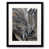 Black Single Picture Framed Paper is unavailable