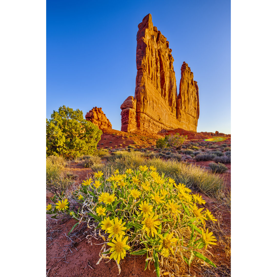 Arches National Park von Don White - Kunstdrucke auf Leinwand