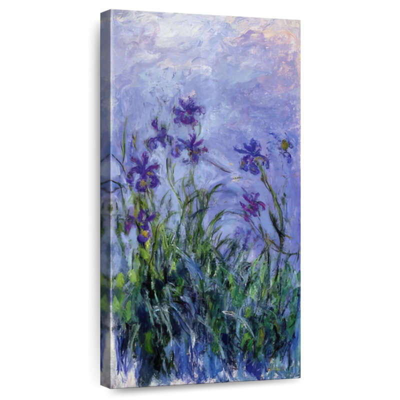 Harnek - Iris mauves, H 24 po x l 12 po