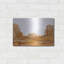 «Brownscape I» par Chris Paschke-101447094