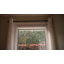 Cordless Semi-Sheer Roll-Up Shade-829663071-829663078