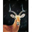 Antilope, reproduction encadrée avec passe-partout
