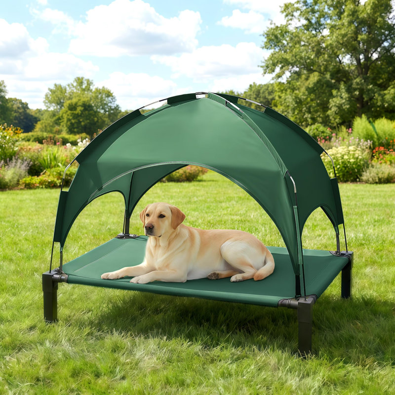 Lit surélevé pour chien avec auvent amovible, Vert