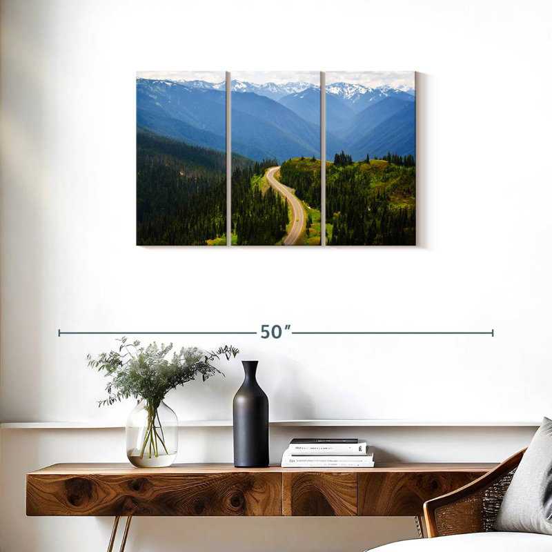 Route sinueuse à Hurricane Ridge, H 20 po x l 33 po