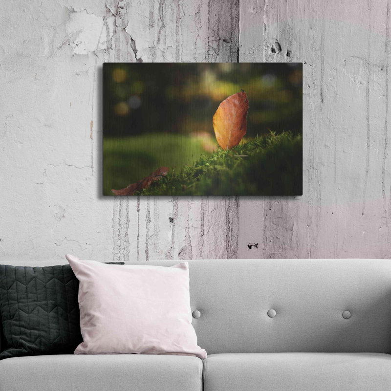 «Leaf And Ant» par Philippe Sainte