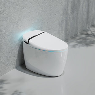 https://assets.wfcdn.com/im/04848558/resize-h310-w310%5Ecompr-r85/2510/251062795/smart-bidet-toilet-with-massage-washing-auto-flush-heated-seat-multi-function-remote-control.jpg
