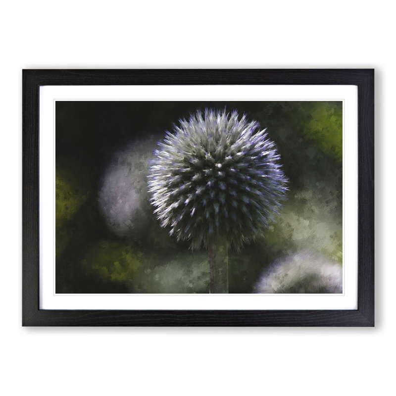 Thistle Flower Vol.4 - Picture Frame Graphic Art, Black, 36cm H x 48cm W x 2cm D