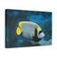 No Frame Print on Canvas-1294148319