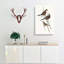 Black-Breasted Songlark by Elizabeth Gould - Wrapped Canvas-55371327