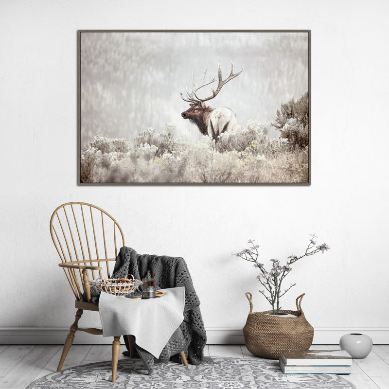 Misty Monarch Canvas Wall Art
