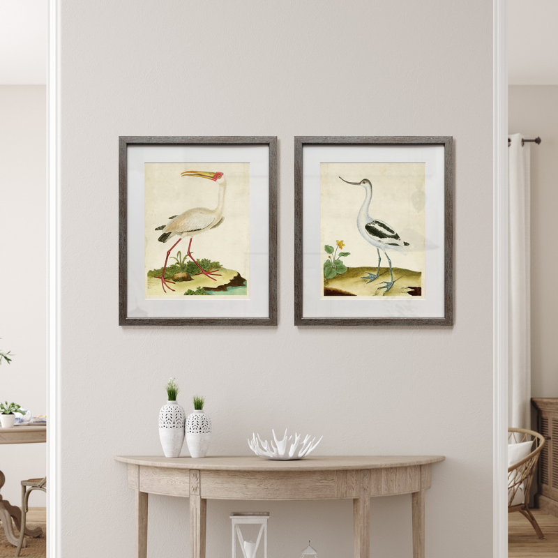 Heron portrait VII-ensemble de 2 reproductions de photos encadrées sur papier