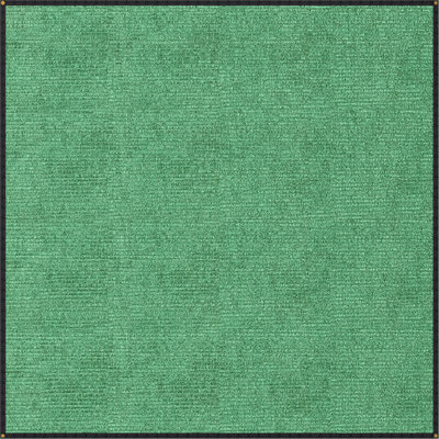 Palram - Canopia Shade Cloth with Grommets 8' x 8' - Green