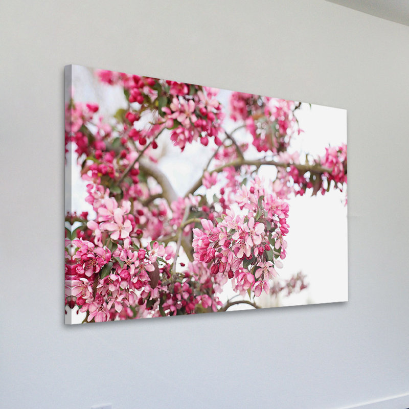 Spring In Pink by Sylvia Cook - Wrapped Canvas Print, 31cm H x 46cm W x 4cm D