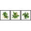 Melmore Coastal Greenery by Marmont Hill - 3 Piece Painting Set