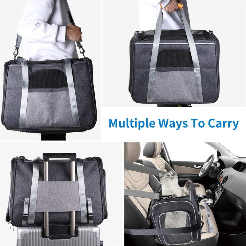 Holdenville Pet Carrier