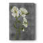 «Walking on Sunshine I» - galerie sur mesure Cavas-1617343728