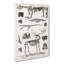 Animal Bones IV by Oliver Goldsmith - Wrapped Canvas Drawing Pint - Wrapped Canvas-55367935