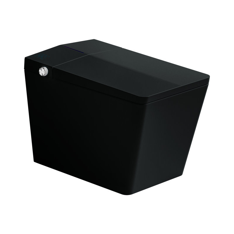 Black Square Smart Toilet With Built-In Tank, Auto Flush, Heated Seat, Remote Control, Led Display, Association Modern Visual Display