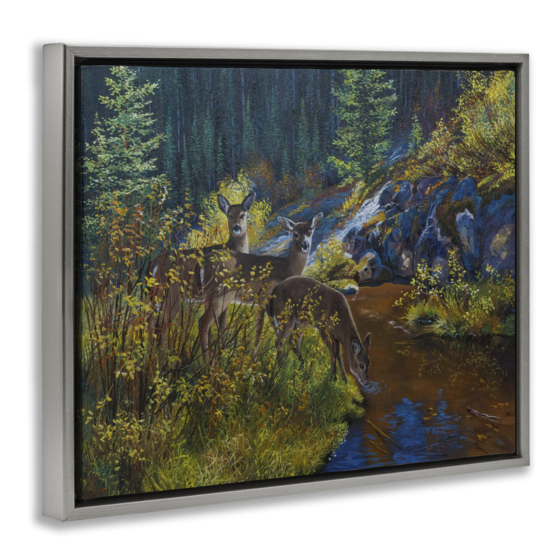 Art mural encadré, "Deer Dr potable from River" par Andrew Kiss, Cadre flottant gris lustré, H 25 po x l 31 po