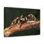 No Frame Print on Canvas