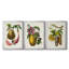 Fruit of the Tropics I - Toile tendue avec châssis sur mesure - 3 pièces