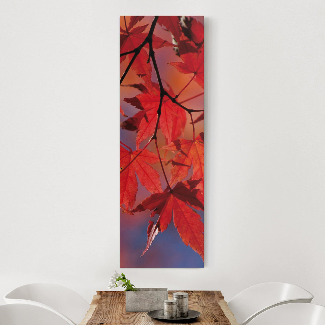 Leinwandbild Red Maple