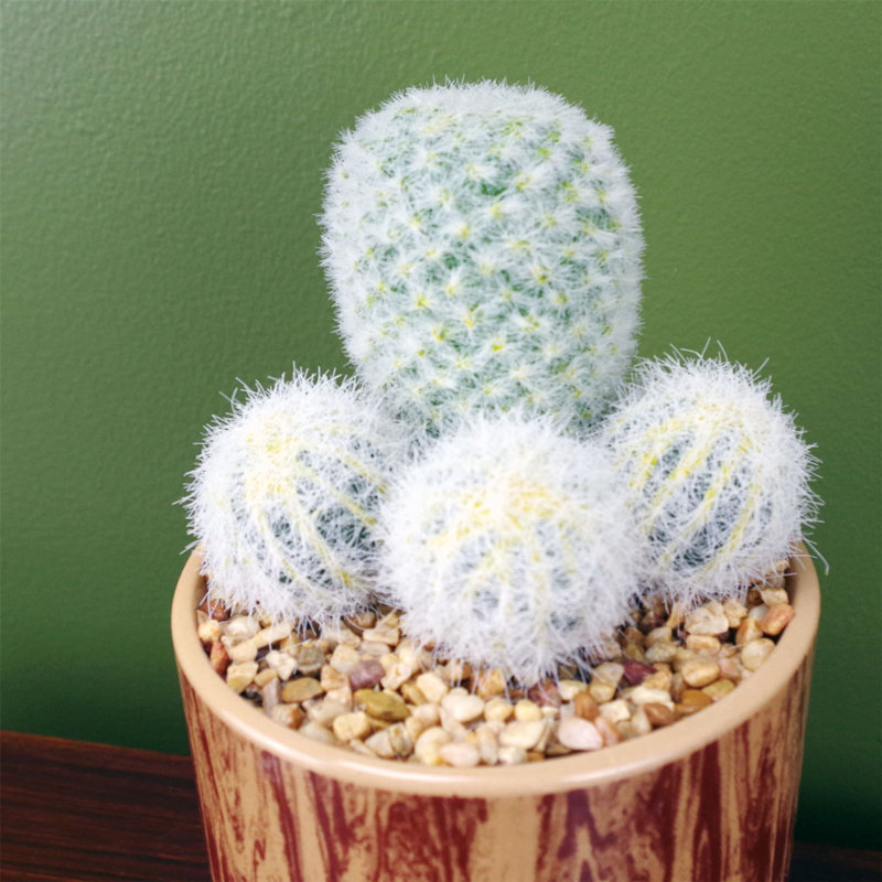 20cm Faux Plant in Ceramic Pot