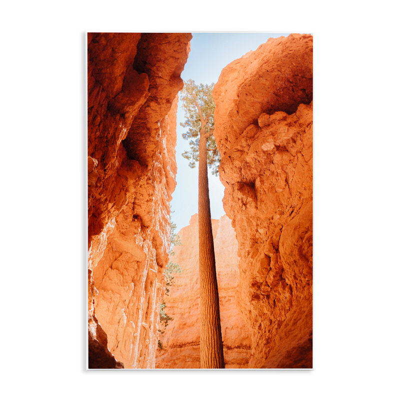 Plaque murale Bryce Canyon Looming Cliff, design par Jade Sharp Photo, H 19 po x l 13 po