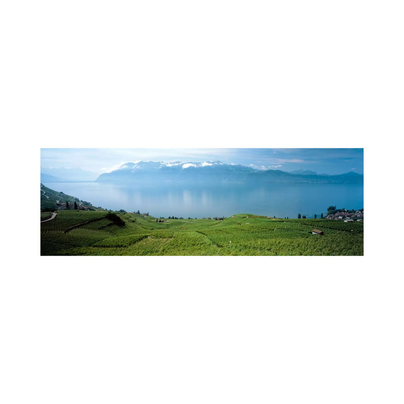 Vineyard Terraces & Lake Geneva, Lavaux, Vaud, Switzerland by Panoramic Images - Wrapped Canvas Panoramic Print
