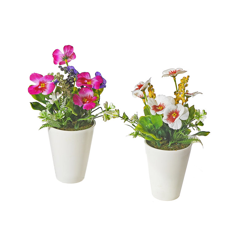 Pansy Arrangement in Pot