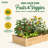 Katsuyoshi Wood Raised Garden Bed-689863021-689863015