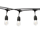 Feliciana Outdoor 12 - Bulb 24'' Plug-in LED Globe String Light