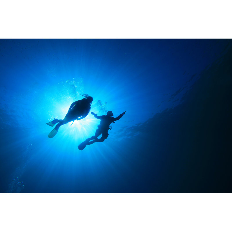 Plongée sous-marine - Photographie sur toile tendue, H 8 po x l 12 po