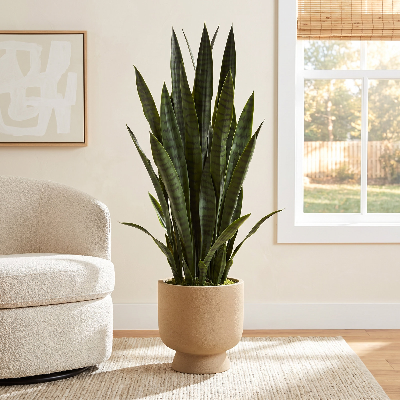 38" Snake Plant in Planter, Green