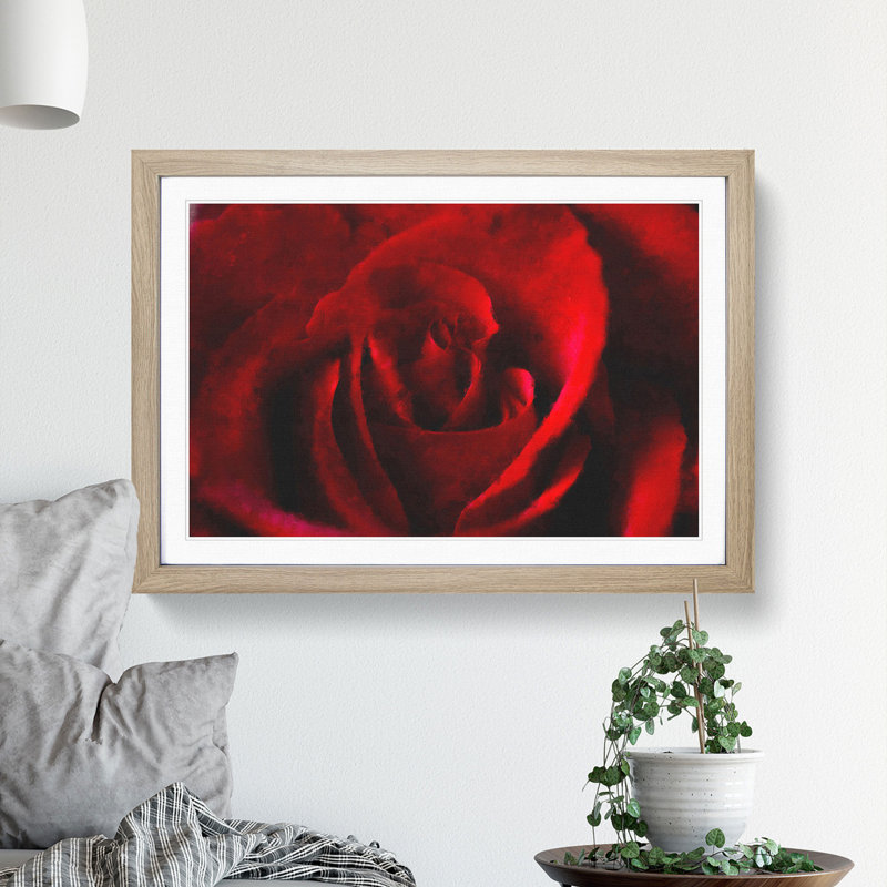 The Beauty of a Red Rose - Picture Frame Painting Print, 33cm H x 45cm W x 2cm D, Oak Framed