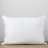 Terron Down Soft Pillow-1224082569