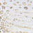 Curtains-1462851078