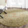 Crisanta Hand Tufted Wool Oriental Rug