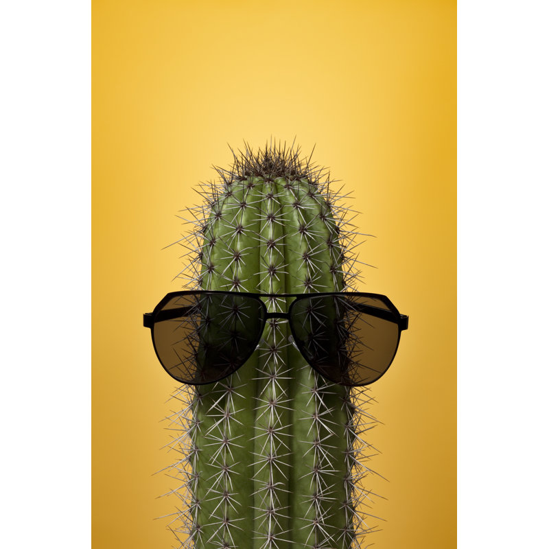 Cactus with Sunglasses on Yellow 1 Piece Wrapped Canvas Wall Art, 76cm H x 51cm W x 3.8cm D