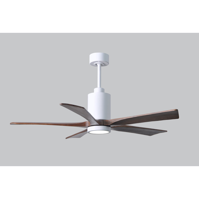 Patricia 52'' Ceiling Fan with LED Lights, Gloss White, Walnut Tone