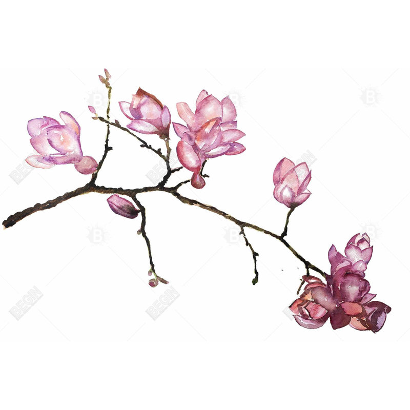 «Branch Of Cherry Blossoms» sur toile