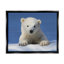 Bébé ours polaire regardant par Shane Lamb-93847484-93849961