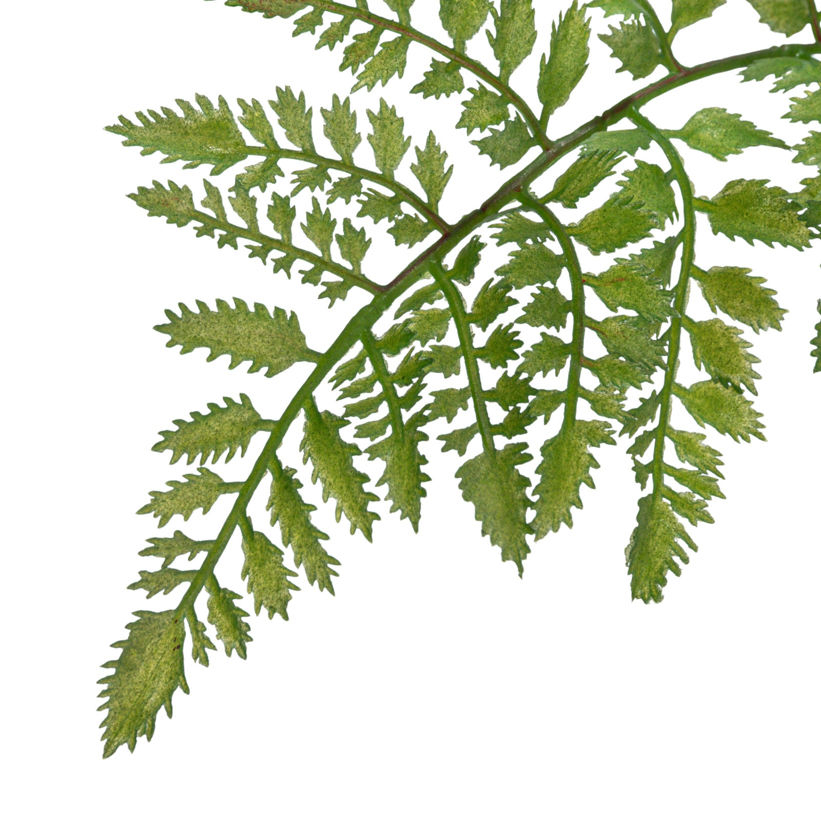 47.25'' Faux Fern Tree in Pot