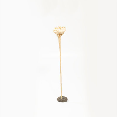 Figurine Caldarelli