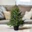3' Artificial Fir Christmas Tree with Color & Clear Lights