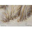 Hand -painted acrylic painting on October Dunes