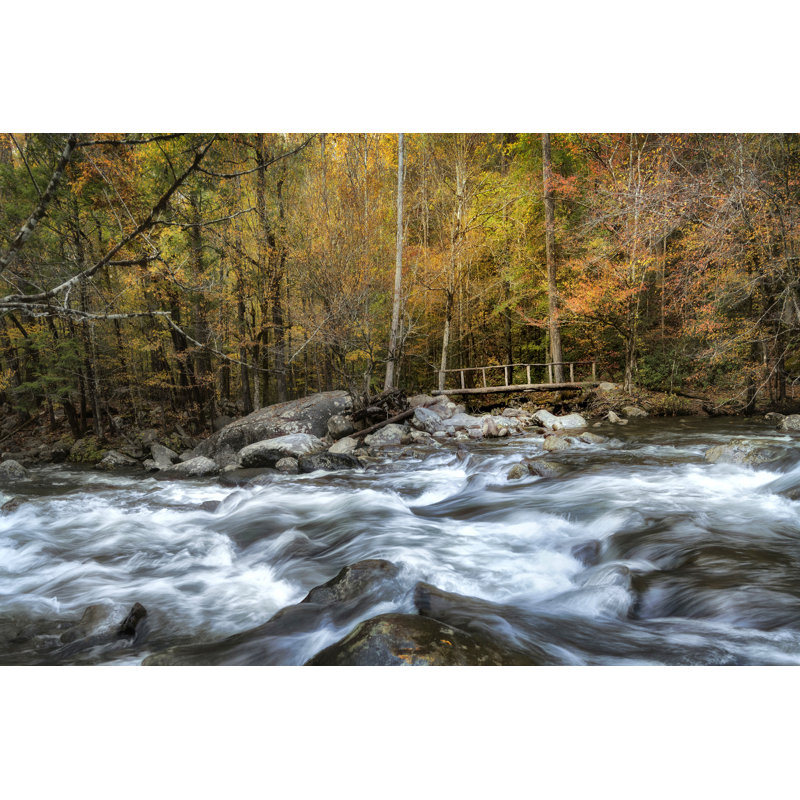 The Foot Bridge by Danny Head - Photograph Print, 30 cm H x 46 cm W, Wrapped Canvas