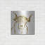 «Gilded Highlander II» par Chris Pa «Gilded Highlander II» par Chris Paschke-101651815
