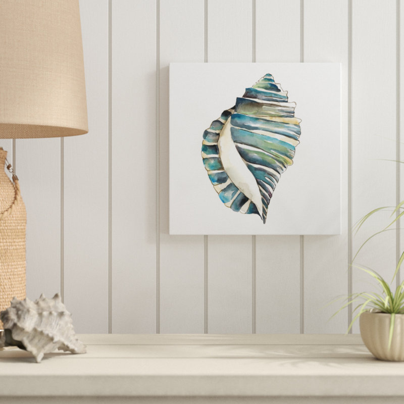 Aquarelle Shells I by Chariklia Zarris - Wrapped Canvas Painting, 30cm H x 30cm W